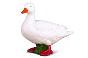 Obrazek Kaczka biała S