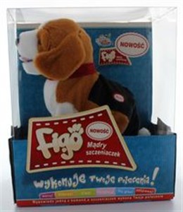 Picture of Pies Figo mądry szczeniak