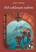 polish book : Pod szklan... - Martin Widmark