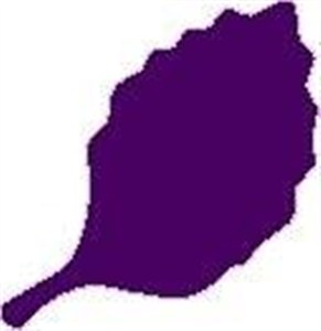 Obrazek Dziurkacz ozdobny - Liść 7,6cm