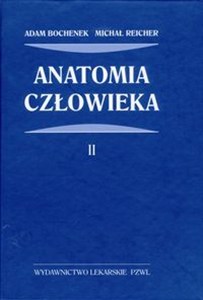 Obrazek Anatomia czlowieka