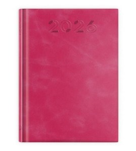 Picture of Terminarz 2026 B6 print malinowy