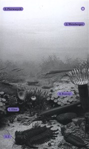 Obrazek Z rzeczy pierwszych