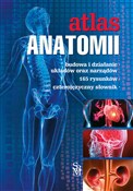 Atlas anat... - Justyna Mazurek - Ksiegarnia w UK