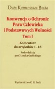 Konwencja ... -  books from Poland