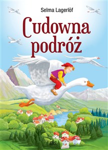 Obrazek Cudowna podróż