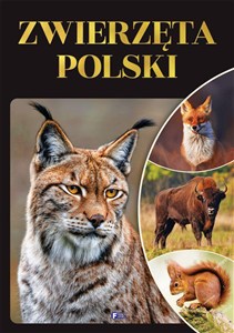 Obrazek Zwierzęta Polski