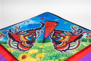 Picture of Latawiec Mrak 01