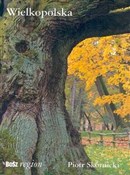 Polska książka : Wielkopols... - Piotr Skórnicki