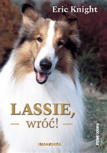 Obrazek Lassie, wróć!