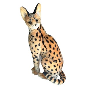 Picture of Serwal 49cm