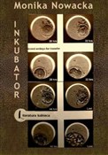 Zobacz : Inkubator - Monika Nowacka