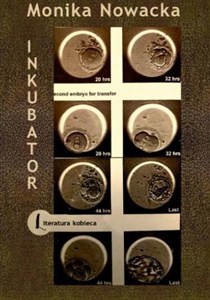 Obrazek Inkubator