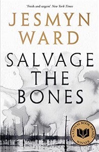 Picture of Salvage the Bones