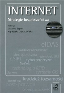 Obrazek Internet Strategie bezpieczeństwa