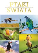 Zobacz : Ptaki świa... - Opracowanie Zbiorowe
