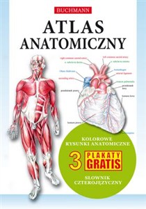 Picture of Atlas anatomiczny