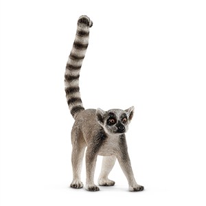 Picture of Lemur
