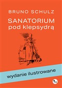 polish book : Sanatorium... - Bruno Schulz