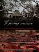 polish book : W jednej w... - Beata Gołembiowska