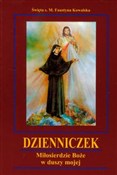 Dziennicze... - Faustyna Kowalska -  books in polish 