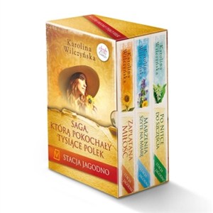 Picture of Stacja Jagodno Pakiet