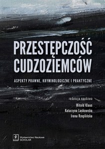 Obrazek Przestępczość cudzoziemców Aspekty prawne, kryminologiczne i praktyczne