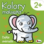 Zobacz : Kolory mal... - Piotr Kozera