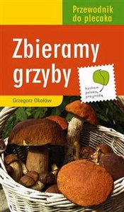 Obrazek Zbieramy grzyby