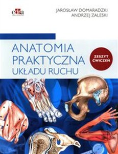 Obrazek Anatomia praktyczna układu ruchu Ćwiczenia
