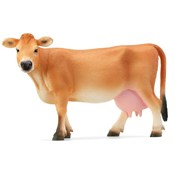 Krowa rasy... -  Polish Bookstore 