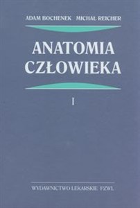 Obrazek Anatomia człowieka Tom 1