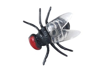 Obrazek Mucha 1cm 24szt