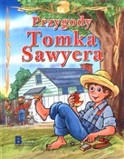 Przygody T... - Jana Eislerova -  books in polish 