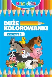 Obrazek Duże kolorowanki Zeszyt 3
