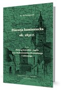 Diecezja k... - Jan Szczepaniak -  books in polish 