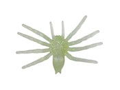 Polska książka : Pająk świe...