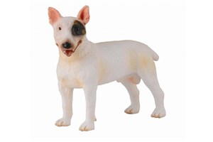 Obrazek Pies rasy bullterier M