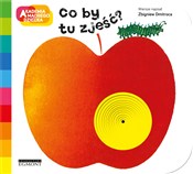 Zobacz : Co by tu z... - Zbigniew Dmitroca