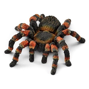 Picture of Tarantula SLH14829