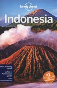 Picture of Lonely Planet Indonesia