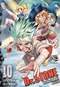 polish book : Dr Stone. ... - Boichi, Riichiro Inagaki