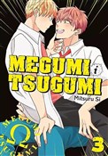 polish book : Megumi i T... - Mitsuru Si