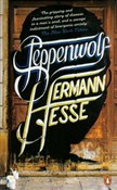 Steppenwol... - Herman Hesse -  Książka z wysyłką do UK