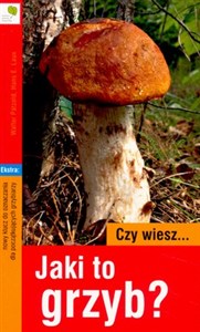 Obrazek Czy wiesz jaki to grzyb