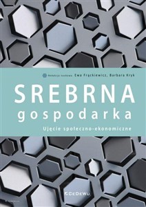 Picture of Srebrna gospodarka Ujęcie społeczno-ekonomiczne