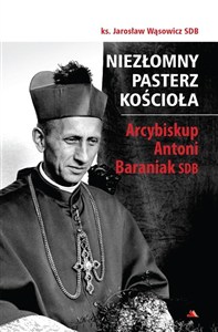 Picture of Niezłomny pasterz Kościoła