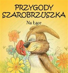 Obrazek Przygody Szarobrzuszka Na łące