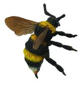 polish book : Trzmiel L