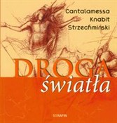 Droga świa... - Raniero Cantalamessa, Leon Knabit, Błażej Strzechmiński -  foreign books in polish 